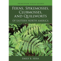 Ferns, Spikemosses, Clubmosses, and Quillworts of Eastern North America - Paperback