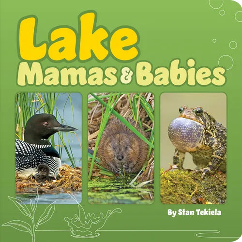 Lake Mamas & Babies - Board Book