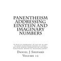 Panentheism Addressing Einstein and Imaginary Numbers - Paperback