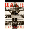 Low Life: Lures and Snares of Old New York - Paperback