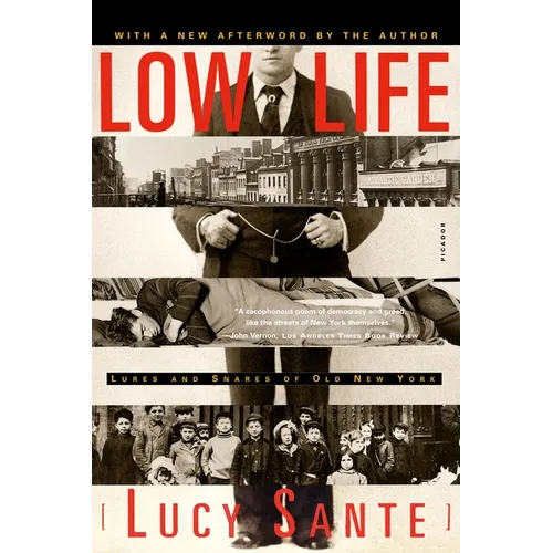 Low Life: Lures and Snares of Old New York - Paperback