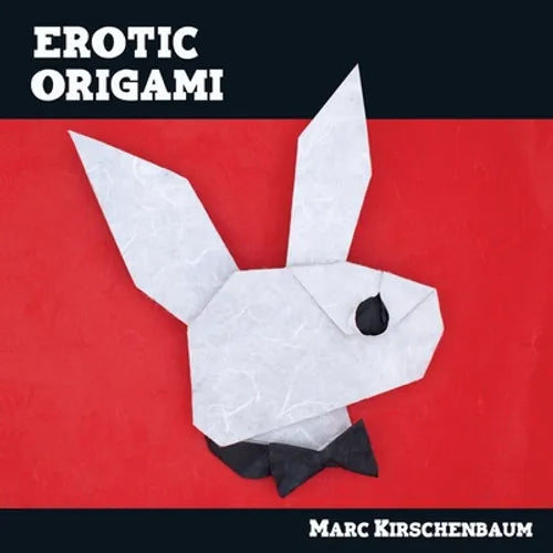Erotic Origami - Paperback