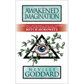 Awakened Imagination: Deluxe Edition - Paperback