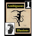 Ambiguous Illusions - Paperback