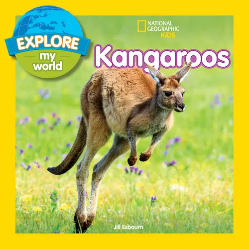 Explore My World: Kangaroos - Paperback