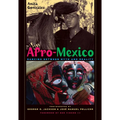 Afro-Mexico: Dancing between Myth and Reality - Paperback