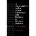 A Cumulative Index to the Grammar and Syntax of Biblical Hebrew - Hardcover