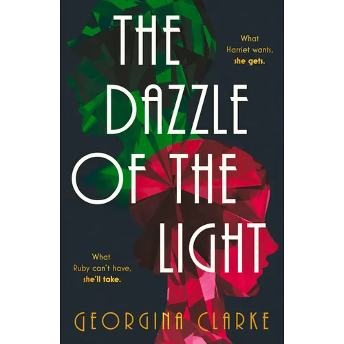 The Dazzle of the Light - Paperback
