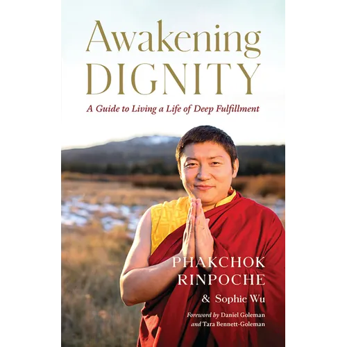 Awakening Dignity: A Guide to Living a Life of Deep Fulfillment - Paperback