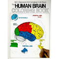 The Human Brain Coloring Book - Paperback