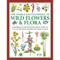 The World Encyclopedia of Wild Flowers & Flora: A Reference and Identification Guide to 1730 of the World's Most Significant Wild Plants - Hardcover