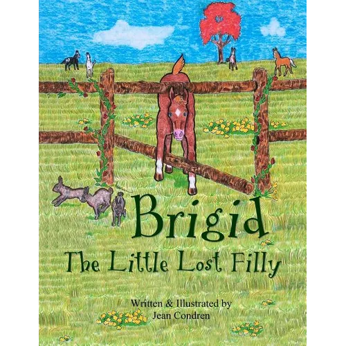 Brigid, The Little Lost Filly - Paperback