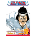 Bleach, Vol. 28: Baron's Lecture Full-Course - Paperback