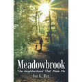 Meadowbrook: The Neighborhood That Made Me - Paperback