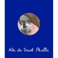 Niki de Saint Phalle - Hardcover