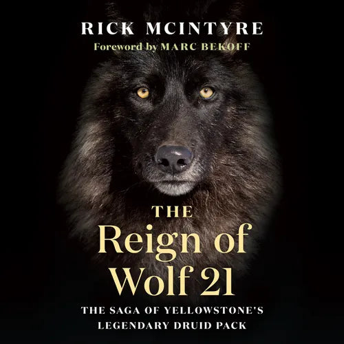 The Reign of Wolf 21: The Saga of Yellowstone's Legendary Druid Pack - Paperback