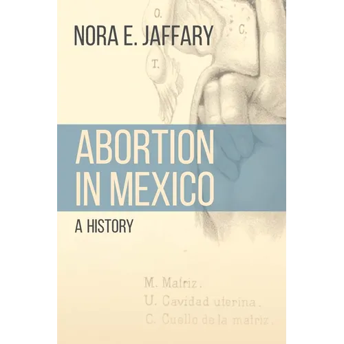 Abortion in Mexico: A History - Hardcover