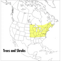 A Field Guide to Trees and Shrubs: Northeastern and North-Central United States and Southeastern and South-Central Canada - Paperback