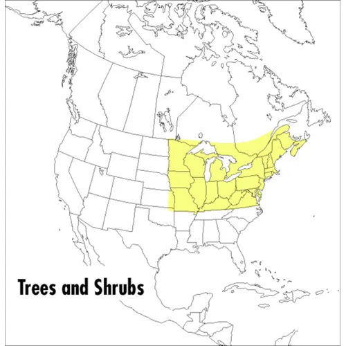 A Field Guide to Trees and Shrubs: Northeastern and North-Central United States and Southeastern and South-Central Canada - Paperback