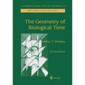 The Geometry of Biological Time - Paperback