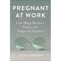 Pregnant at Work: Low-Wage Workers, Power, and Temporal Injustice - Paperback