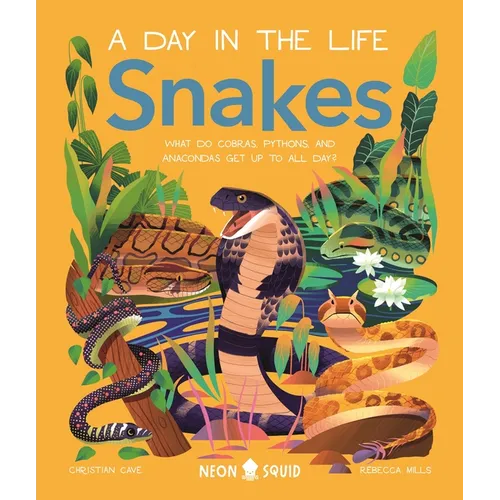 Snakes (a Day in the Life): What Do Cobras, Pythons, and Anacondas Get Up to All Day? - Hardcover