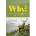 Why?: A Study of the Book of Habakkuk - Paperback