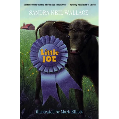 Little Joe - Paperback