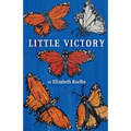 Little Victory - Paperback