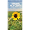 Roadside Wildflowers: An Introduction to Familiar North American Species