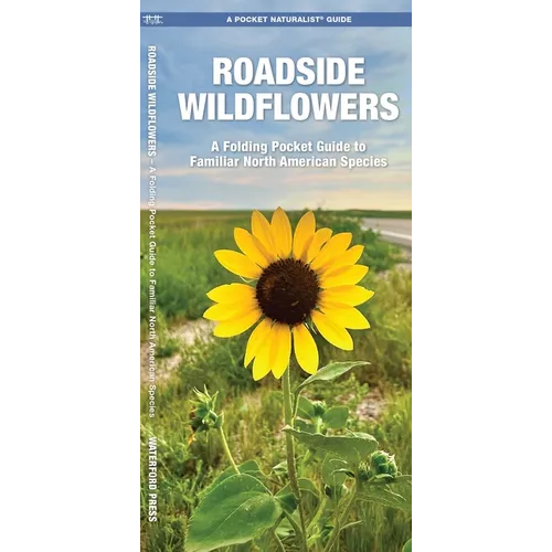 Roadside Wildflowers: An Introduction to Familiar North American Species