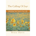 The Calling of Joy!: Unfolding Your Soul in Your Life - Paperback