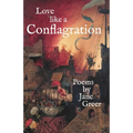 Love like a Conflagration - Paperback