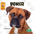 Boxer - Paperback