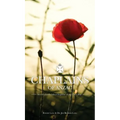Chaplains of ANZAC: New Zealand's fallen Chaplains of the Great War - Hardcover