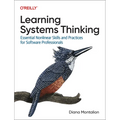 Learning Systems Thinking: Essential Nonlinear Skills and Practices for Software Professionals - Paperback