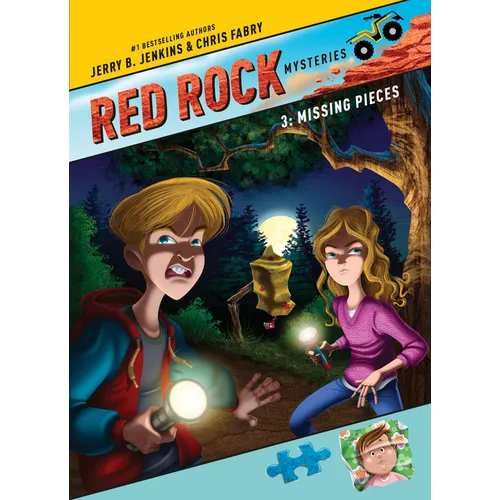 Missing Pieces - Paperback