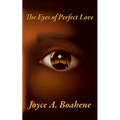 The Eyes of Perfect Love - Paperback