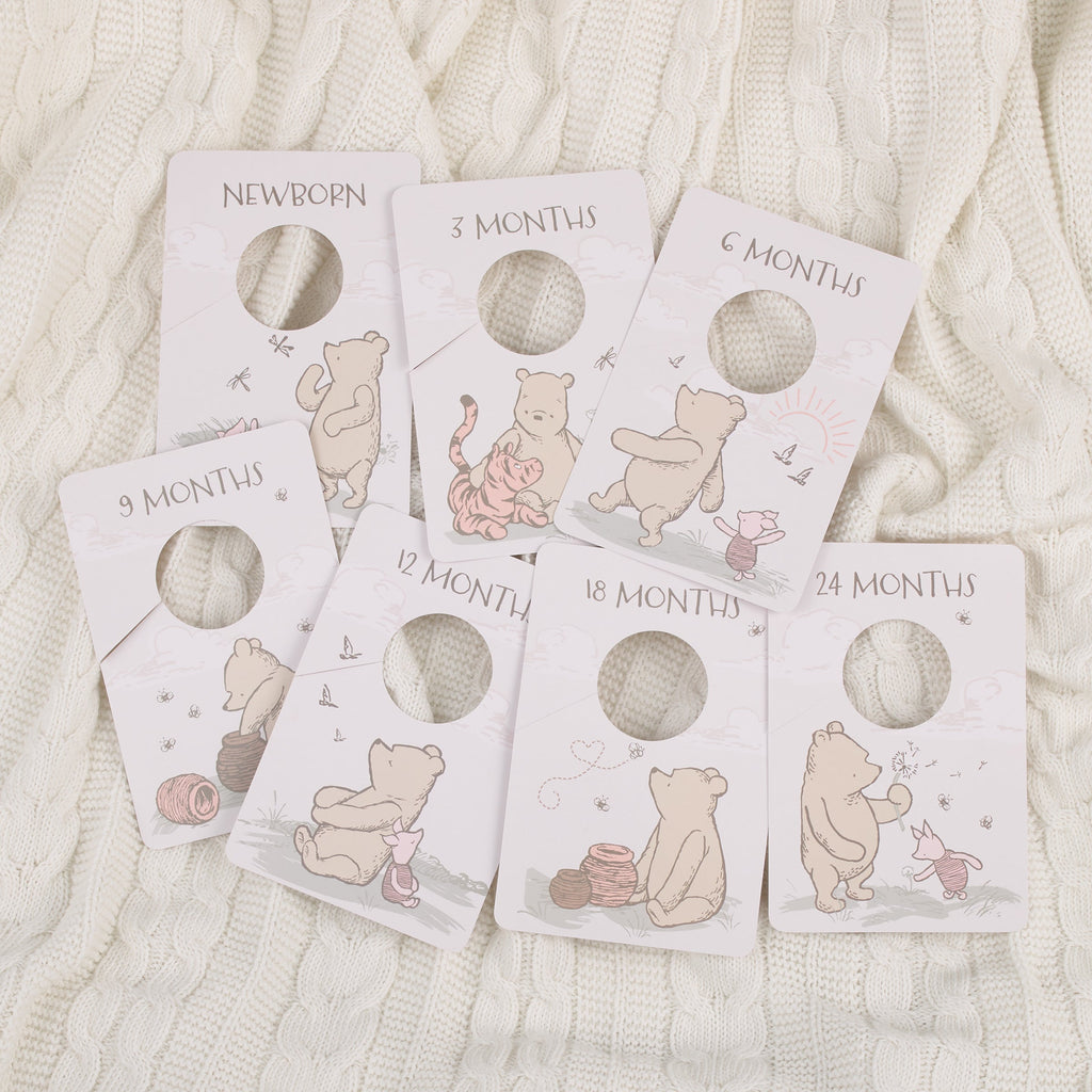 Disney Classic Winnie the Pooh Ivory, Tan, and Sage Nursery Baby Closet Dividers - Set of 7 Newborn to 24 Months
