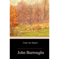 Under the Maples - Paperback