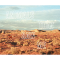 Ed Panar: Animals That Saw Me: Volume Two - Hardcover
