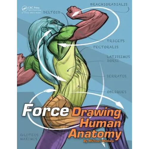 Force: Drawing Human Anatomy - Paperback