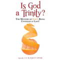 Is God a Trinity?: The Mystery of God's Being Unveiled at Last! - Paperback