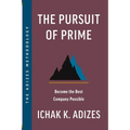 The Pursuit of Prime: Become the Best Company Possible - Paperback
