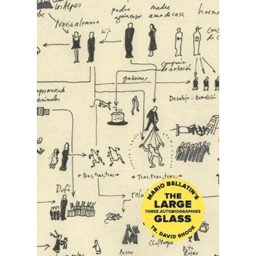 The Large Glass - Paperback