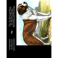 The St. Bernard Dog, Its History, Points, Breeding and Rearing - Paperback