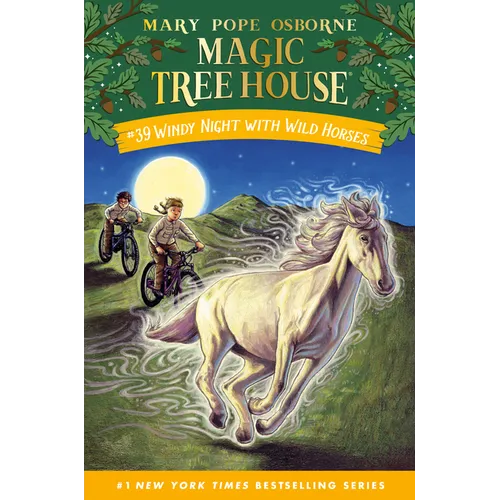 Windy Night with Wild Horses - Hardcover