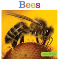 Seedlings: Bees - Paperback