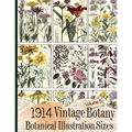 1914 Vintage Botany Botanical Illustration Sizes - Paperback