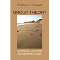 Group Theory: Birdtracks, Lie's, and Exceptional Groups - Paperback
